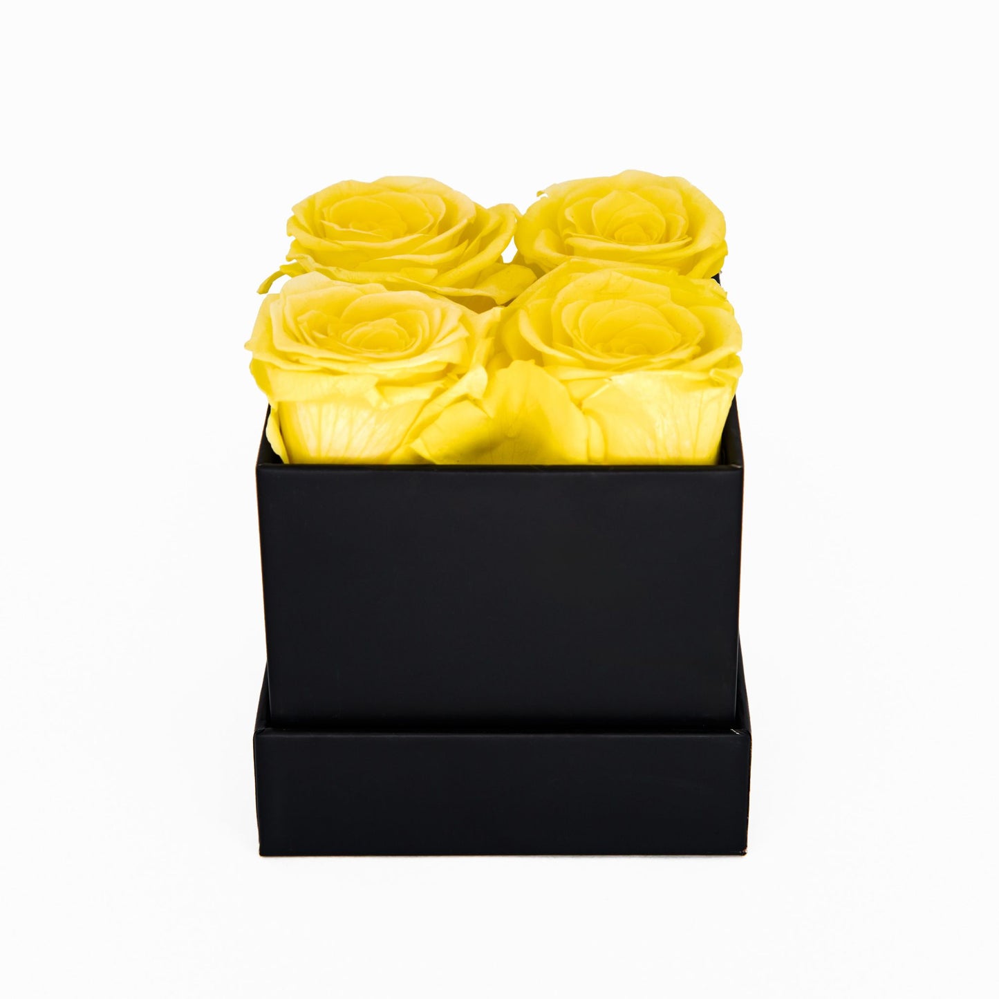 EVIG ROSEBOKS