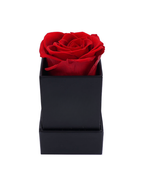 SINGEL EVIG ROSE BOKS - KUBE