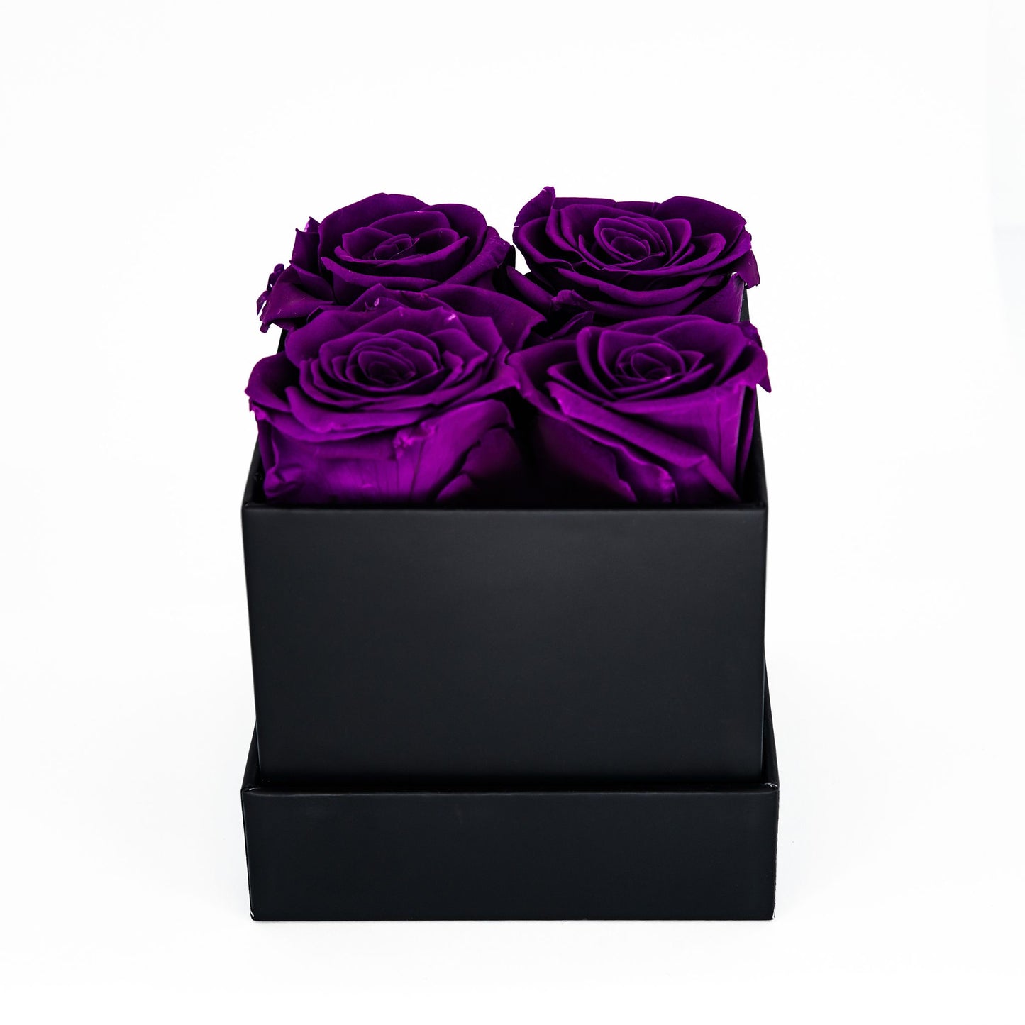EVIG ROSEBOKS