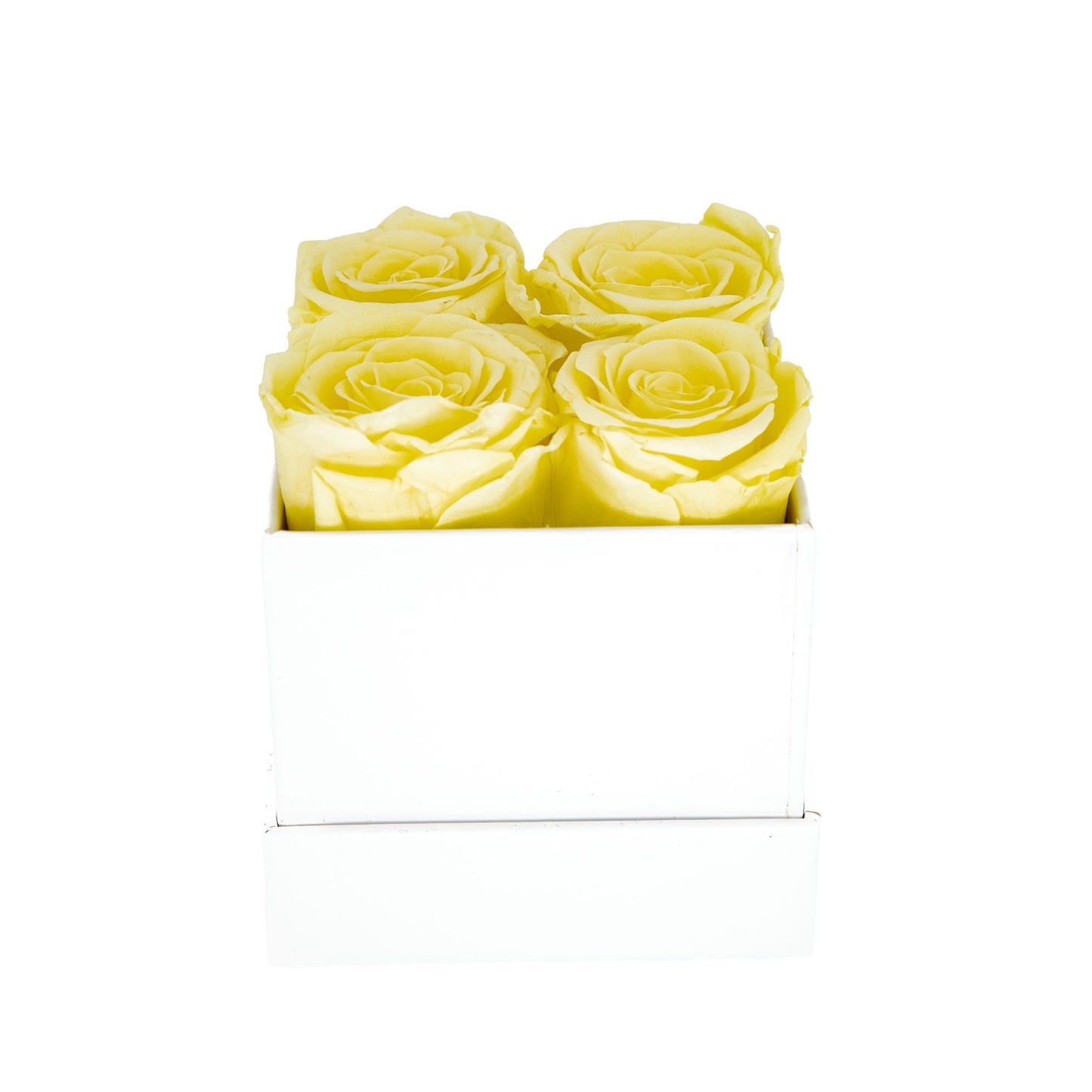 EVIG ROSEBOKS