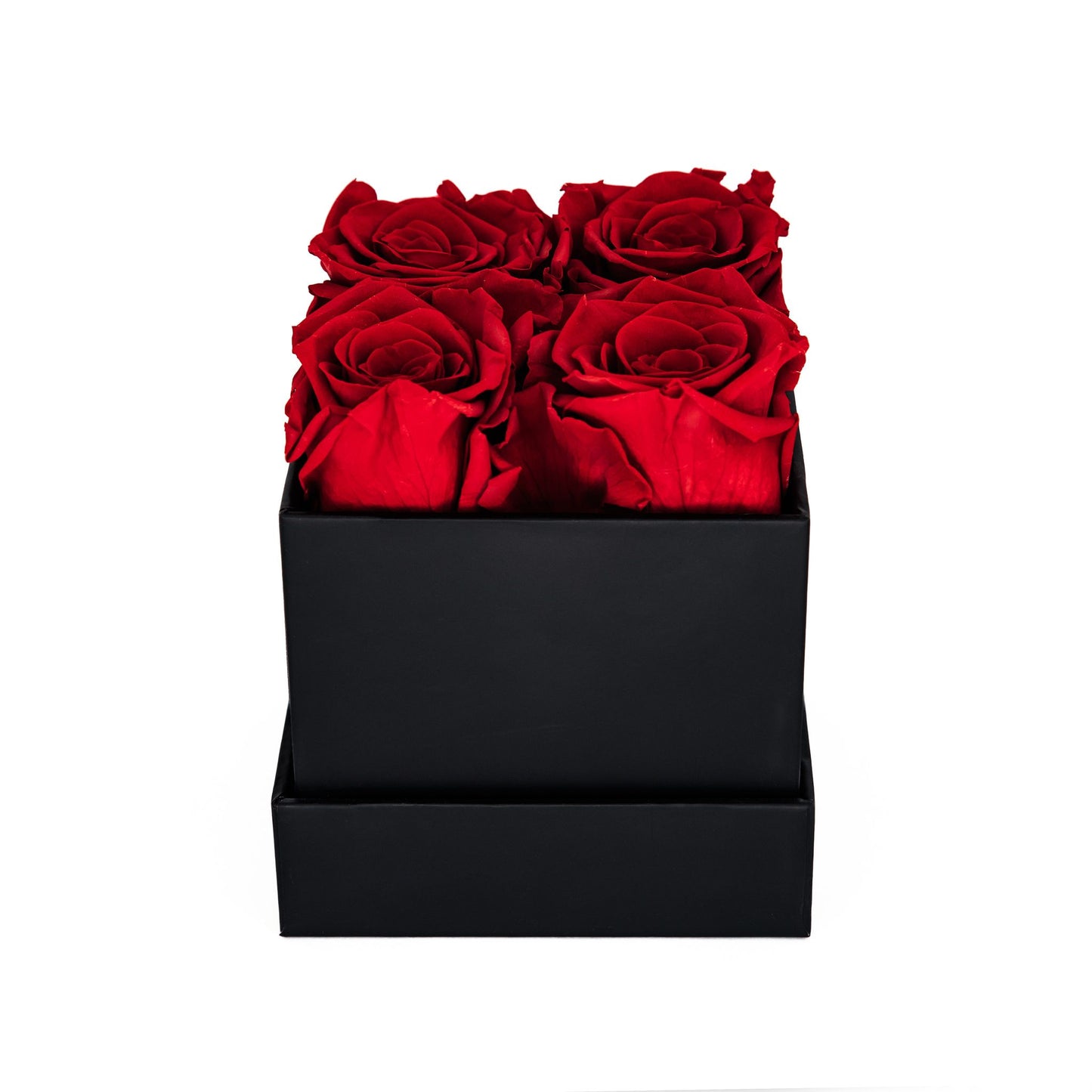 EVIG ROSEBOKS