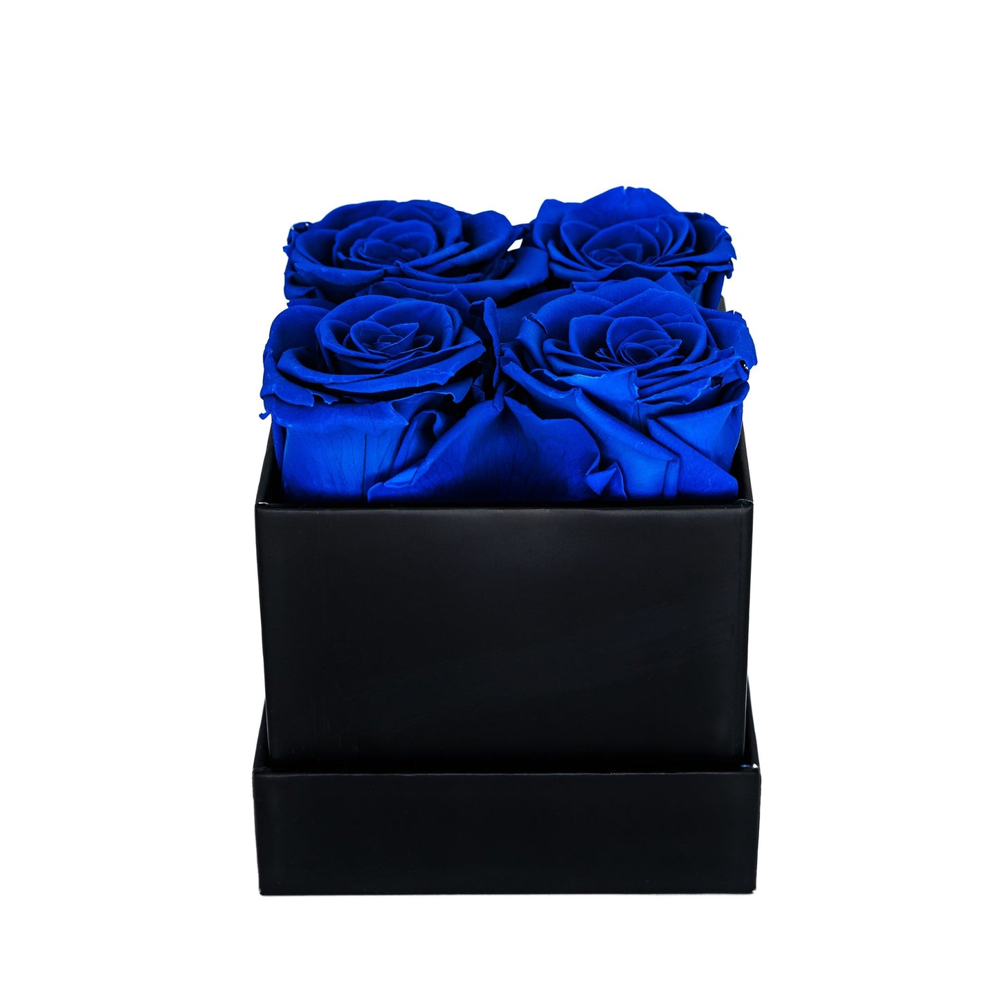 EVIG ROSEBOKS