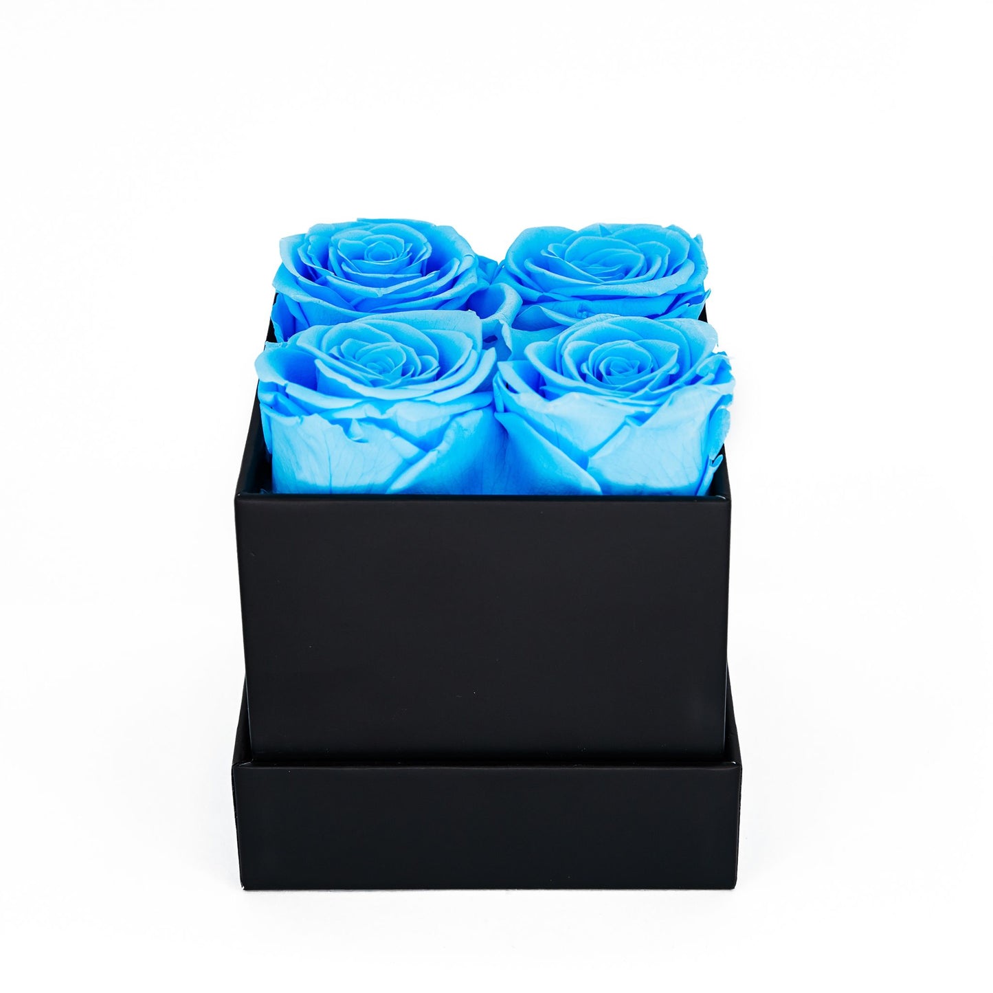 EVIG ROSEBOKS