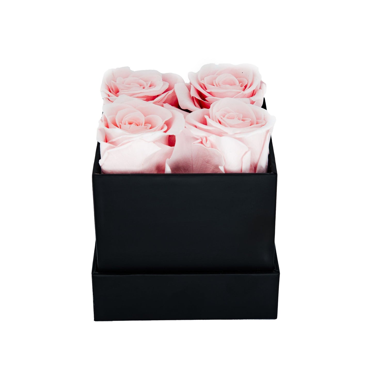 EVIG ROSEBOKS
