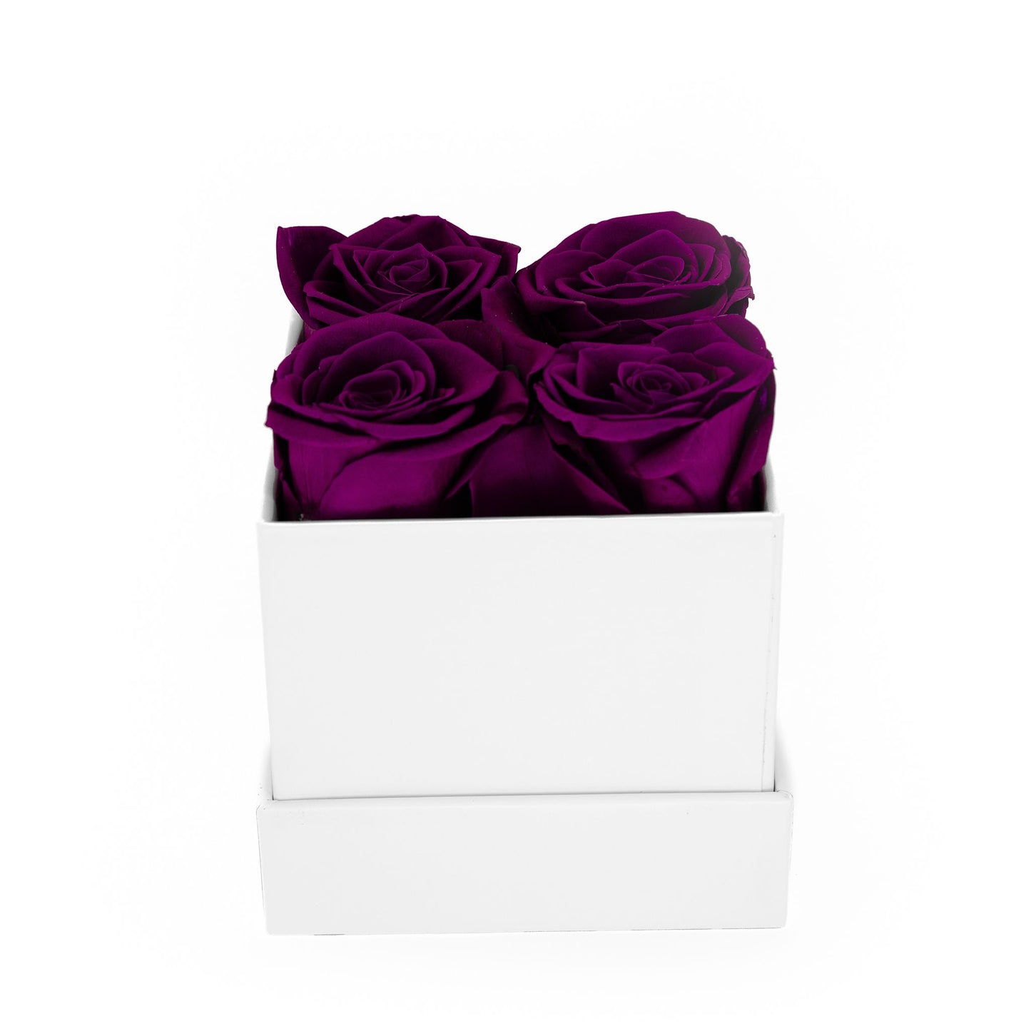 EVIG ROSEBOKS