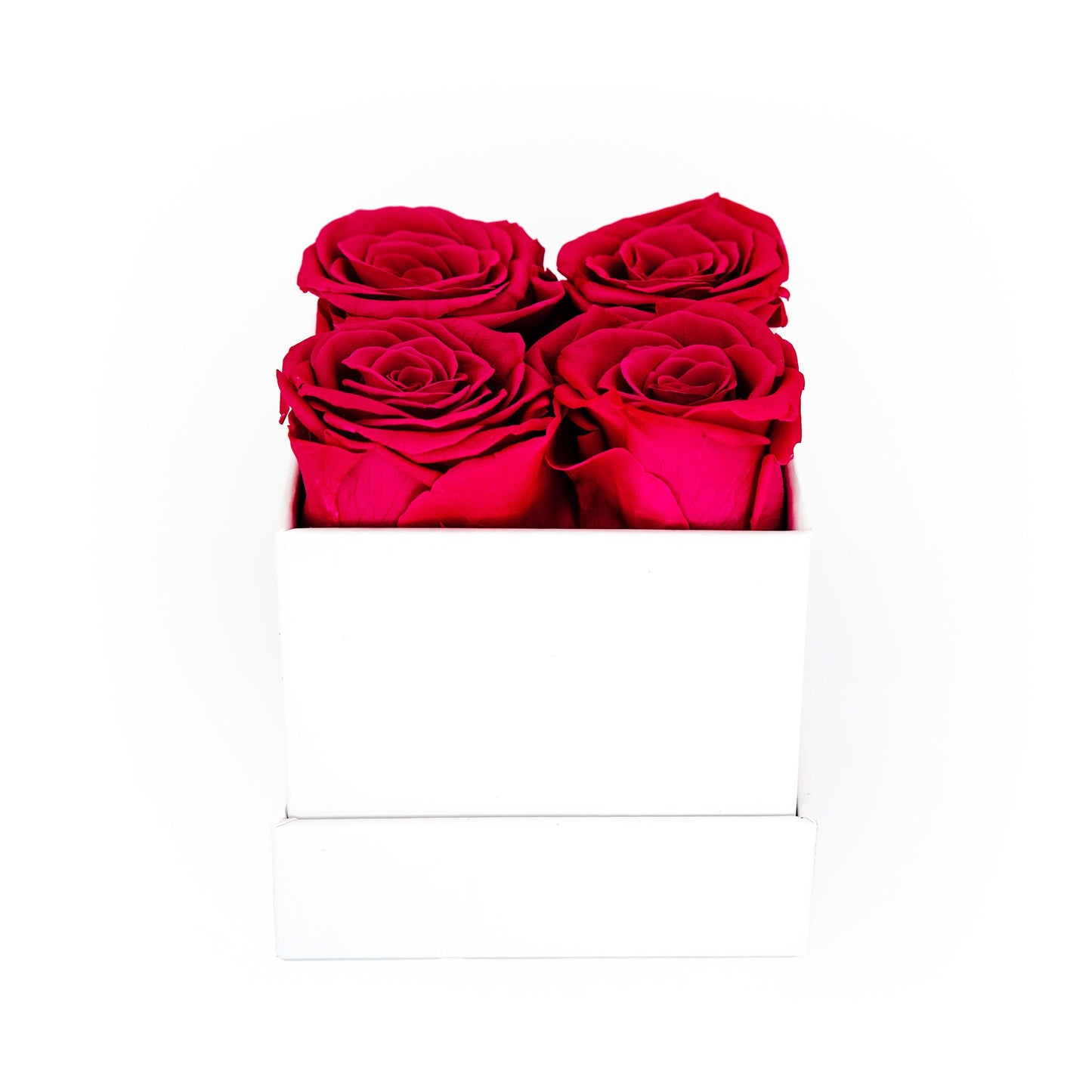 EVIG ROSEBOKS