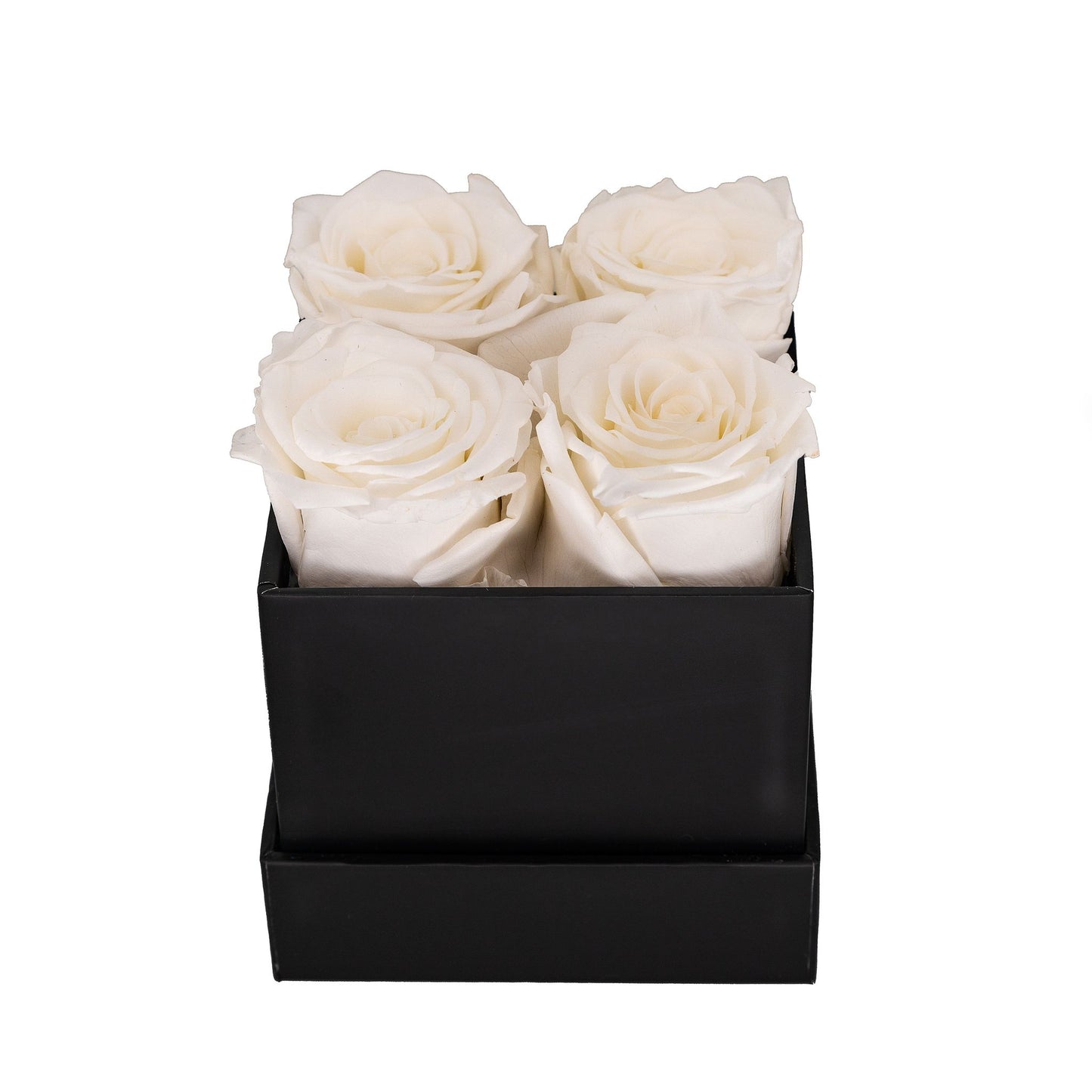 EVIG ROSEBOKS