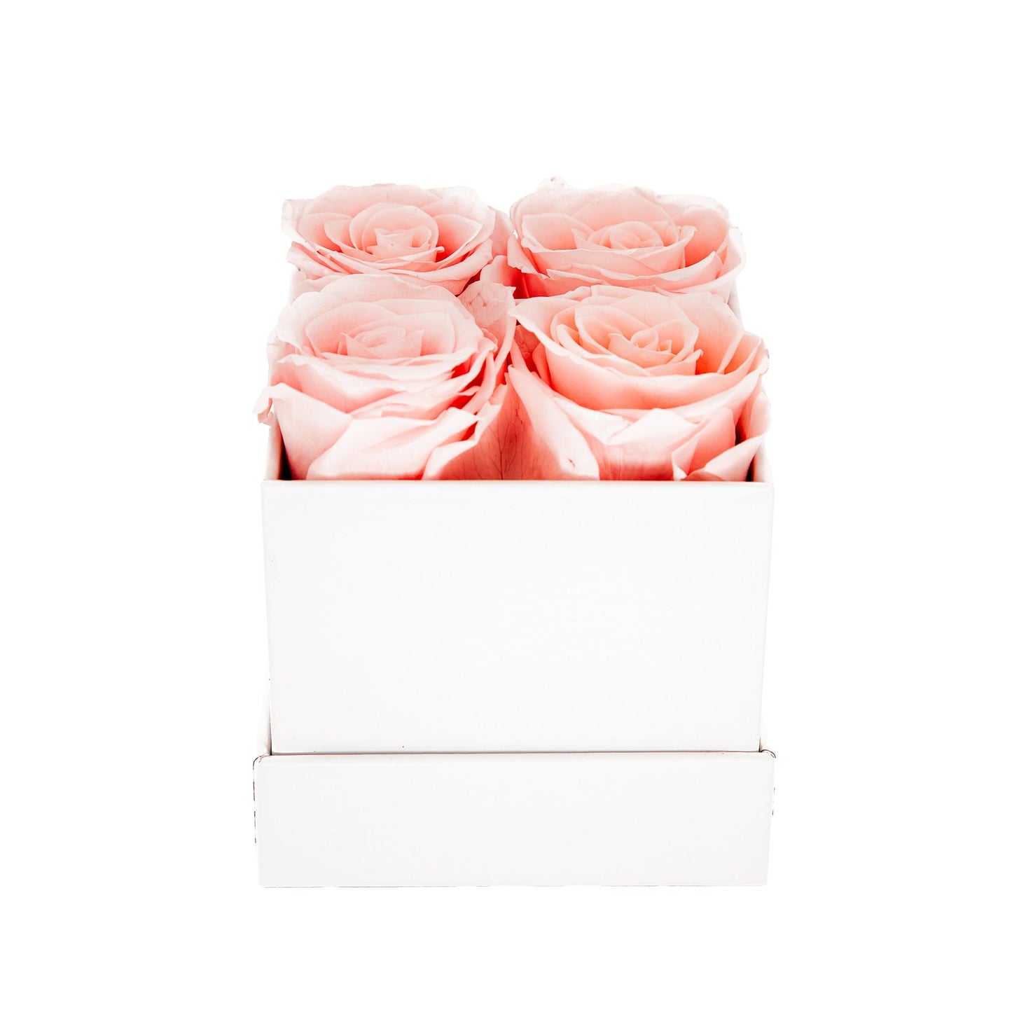 EVIG ROSEBOKS