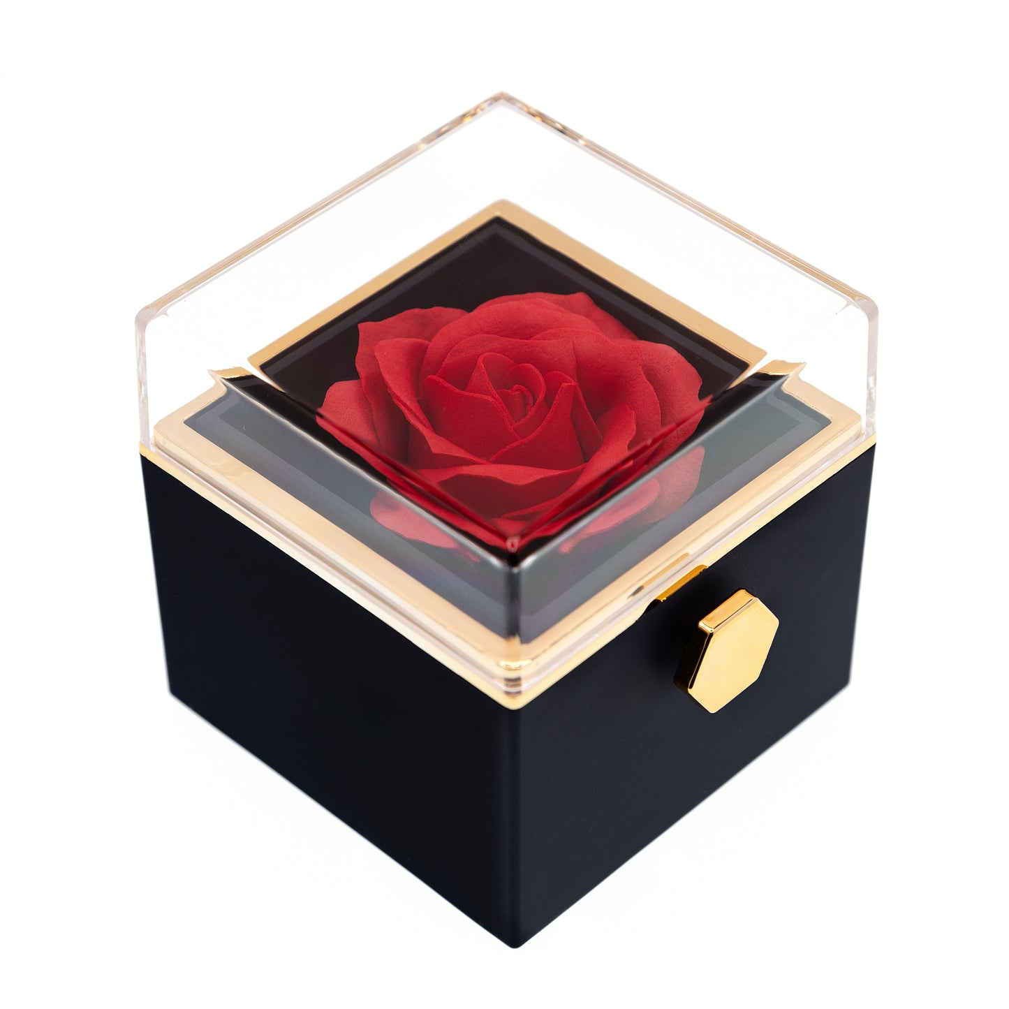 EVIG ROSE BOKS MED PROJECTION RING & EKTE ROSE