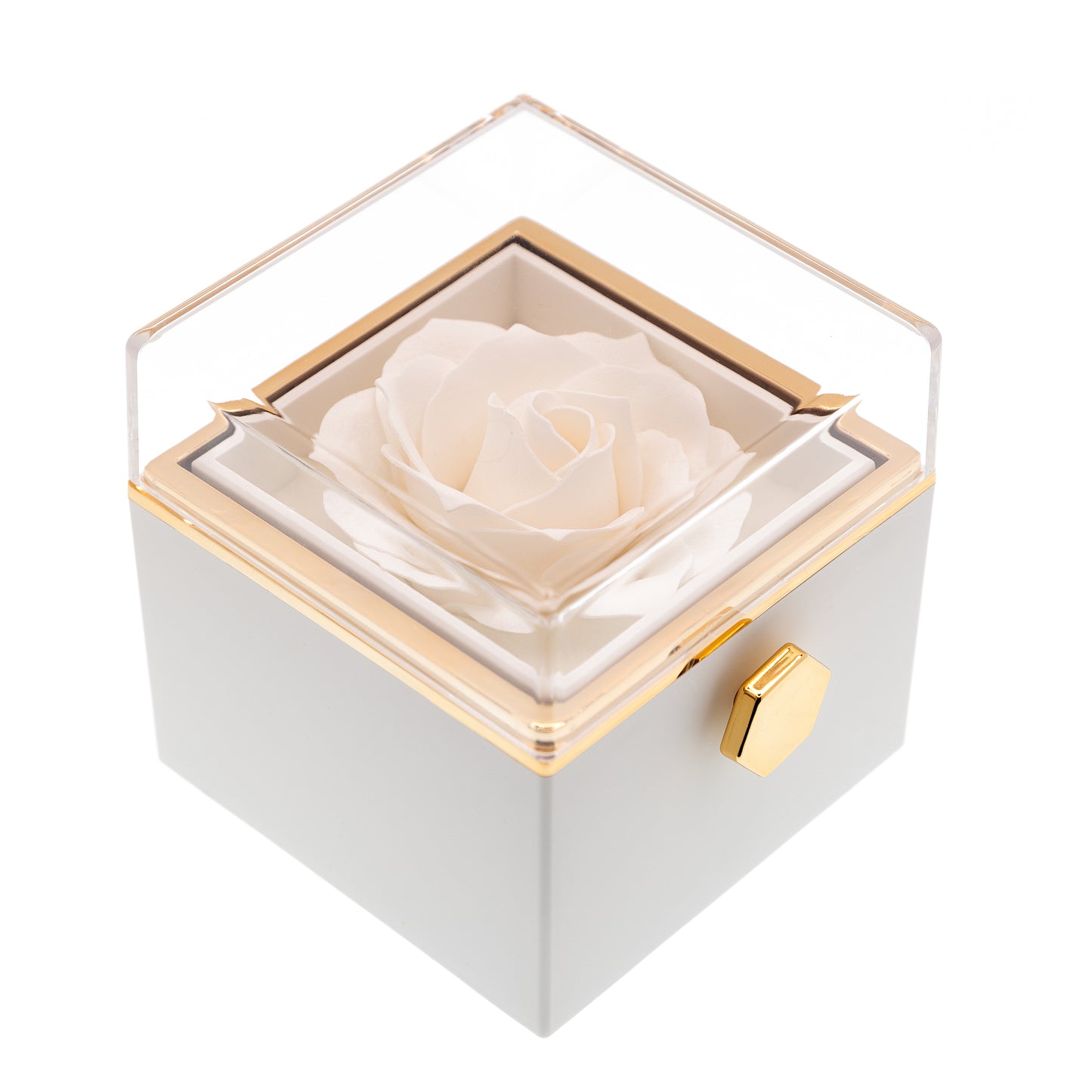 EVIG ROSE BOKS MED PROJECTION RING & EKTE ROSE