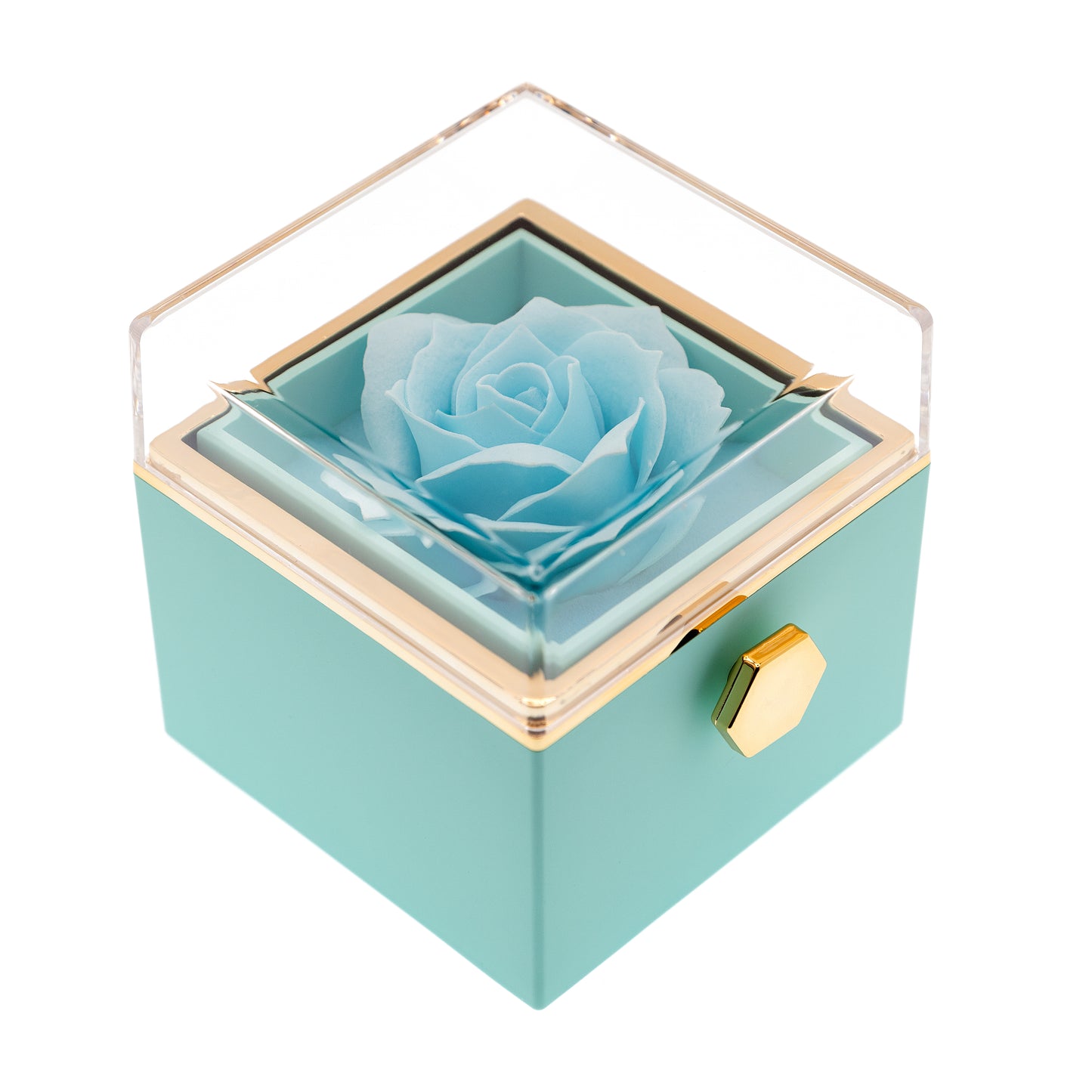 EVIG ROSE BOKS MED PROJECTION RING & EKTE ROSE